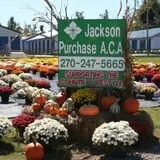 Haunted Maize at Pumpkins and More A-Maiz-ing Farm photo