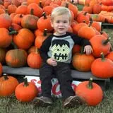 Haunted Maize at Pumpkins and More A-Maiz-ing Farm photo