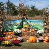 Haunted Maize at Pumpkins and More A-Maiz-ing Farm photo