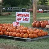 Haunted Maize at Pumpkins and More A-Maiz-ing Farm photo