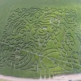 Haunted Maize at Pumpkins and More A-Maiz-ing Farm photo