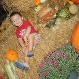 Haunted Maize at Pumpkins and More A-Maiz-ing Farm photo