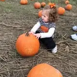 Haunted Maize at Pumpkins and More A-Maiz-ing Farm photo