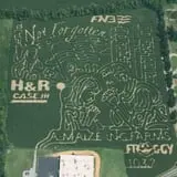 Haunted Maize at Pumpkins and More A-Maiz-ing Farm photo