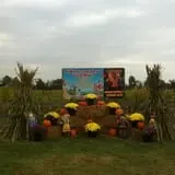 Haunted Maize at Pumpkins and More A-Maiz-ing Farm photo