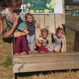 Haunted Maize at Pumpkins and More A-Maiz-ing Farm photo