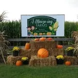 Haunted Maize at Pumpkins and More A-Maiz-ing Farm photo