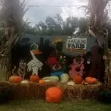 Haunted Maize at Pumpkins and More A-Maiz-ing Farm photo
