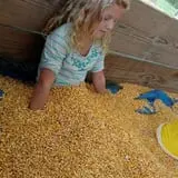 Haunted Maize at Pumpkins and More A-Maiz-ing Farm photo