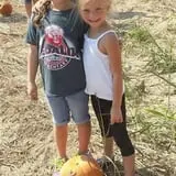 Haunted Maize at Pumpkins and More A-Maiz-ing Farm photo