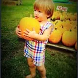 Haunted Maize at Pumpkins and More A-Maiz-ing Farm photo