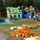 Haunted Maize at Pumpkins and More A-Maiz-ing Farm photo