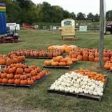 Haunted Maize at Pumpkins and More A-Maiz-ing Farm photo