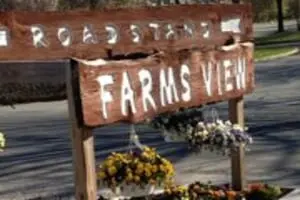 Farms View
