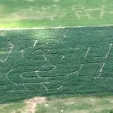 The Beacon Haunted House & Corn Maze photo