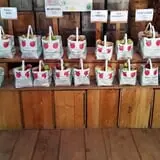 Bailey's Orchard photo