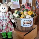 Bailey's Orchard photo