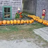 Bailey's Orchard photo