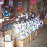 Bailey's Orchard photo