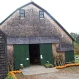 Bailey's Orchard photo