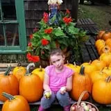Bailey's Orchard photo