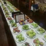 Bailey's Orchard photo