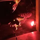 Midwest Light Show photo