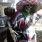I aint got no stinkin badges