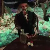 Wildy Bill Hickok