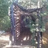 The Forest of Doom photo