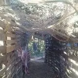 The Forest of Doom photo