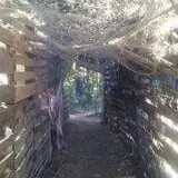 The Forest of Doom photo