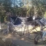 The Forest of Doom photo