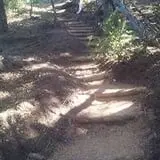 The Forest of Doom photo