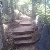 The Forest of Doom photo