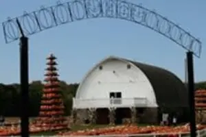 Mommsen's Pumpkin Patch and Orchard