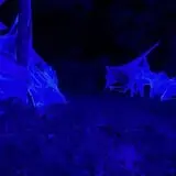 Hell's Nightmares Haunted Attractions photo
