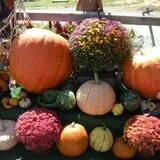 Orr's Farm Market photo