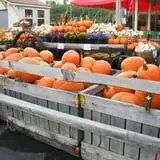 Orr's Farm Market photo