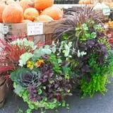 Orr's Farm Market photo