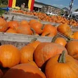 Orr's Farm Market photo