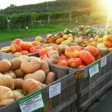 Orr's Farm Market photo