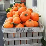 Orr's Farm Market photo