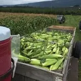 Orr's Farm Market photo