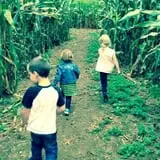 Orr's Farm Market photo