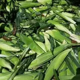 Orr's Farm Market photo