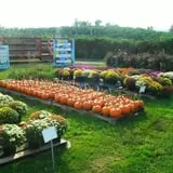 Orr's Farm Market photo