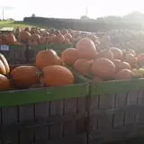 Orr's Farm Market photo
