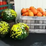 Orr's Farm Market photo