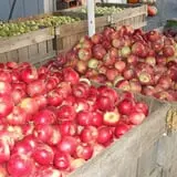 Orr's Farm Market photo
